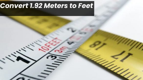 Convert 1.92 Meters to Feet - (m) to (f) - World Marketing Tips 2022